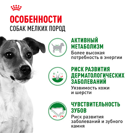 Cухой корм Royal Canin Mini Adult (МИНИ ЭДАЛТ) 2 кг
